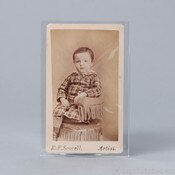 POLYESTER &lt;b&gt;Sleeves &lt;/b&gt; for Cart